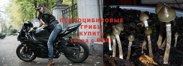 эйфоретик Абаза