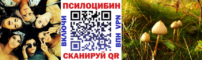 KRAKEN ссылка  Домодедово  Псилоцибиновые грибы MAGIC MUSHROOMS  даркнет сайт 