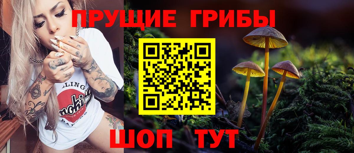Псилоцибиновые грибы GOLDEN TEACHER Домодедово